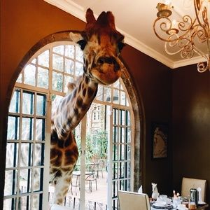 Meet your Posher, Hannah